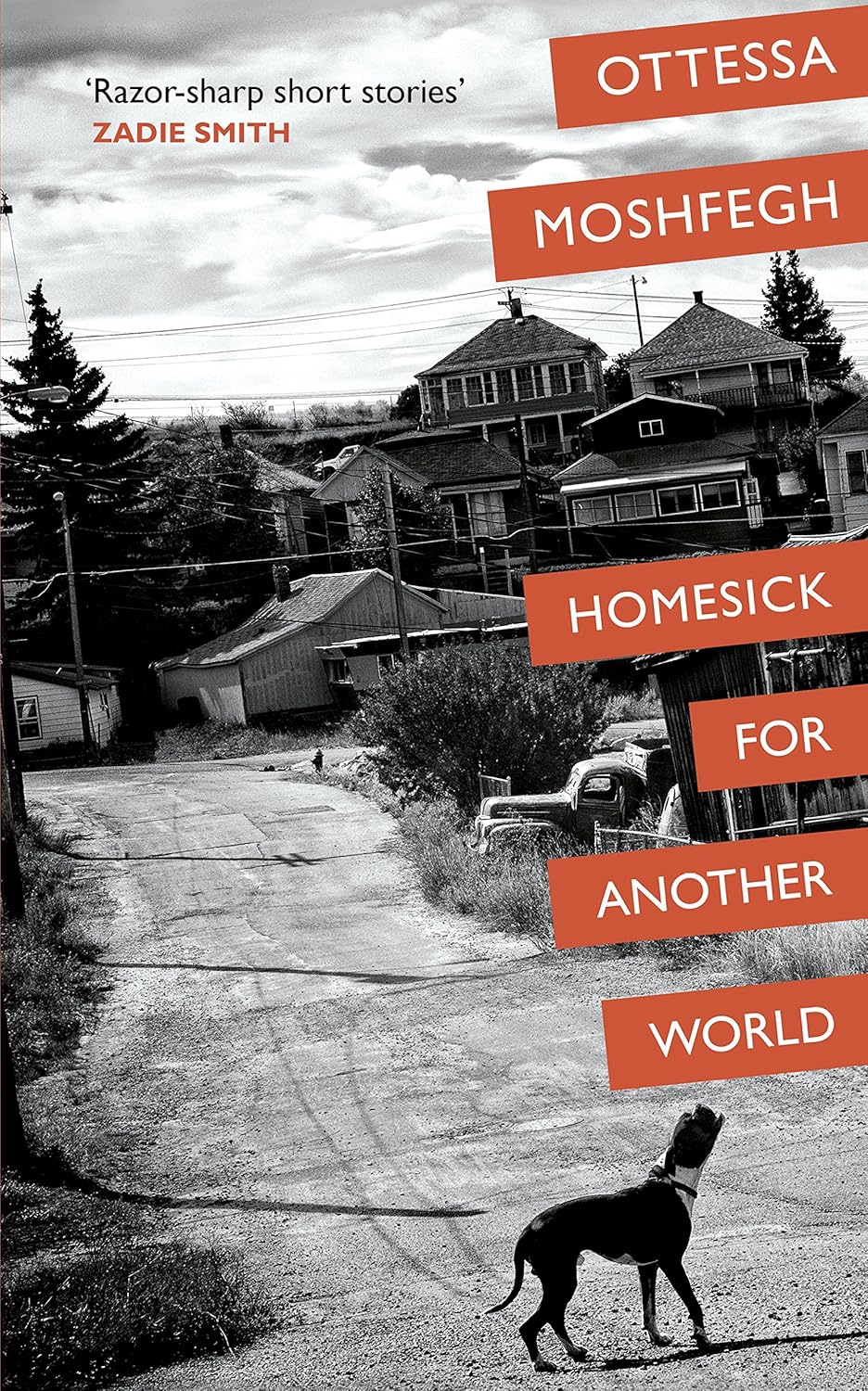 Homesick for Another World