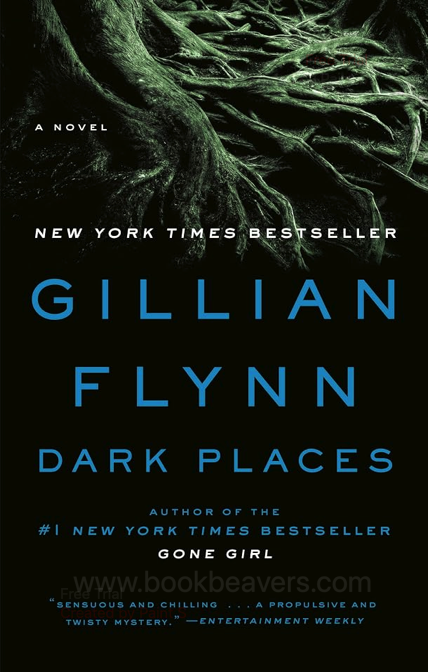Dark Places by Gillian Flynn
