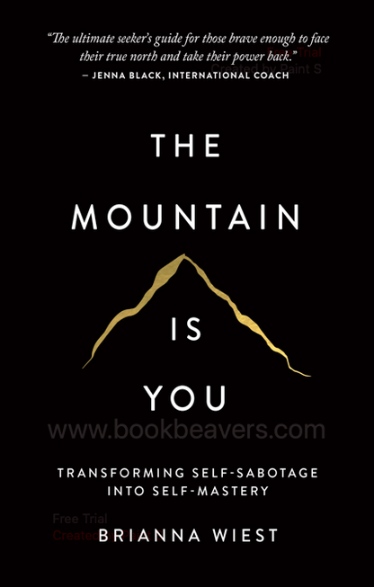 The Mountain Is You by Brianna Wiest