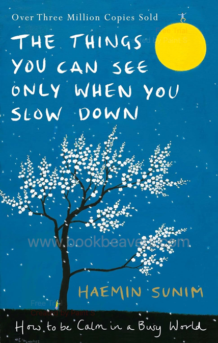 The Things You Can See Only When You Slow Down by Haemin Sunim