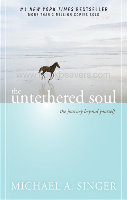 The Untethered Soul: The Journey Beyond Yourself by Michael A. Singer