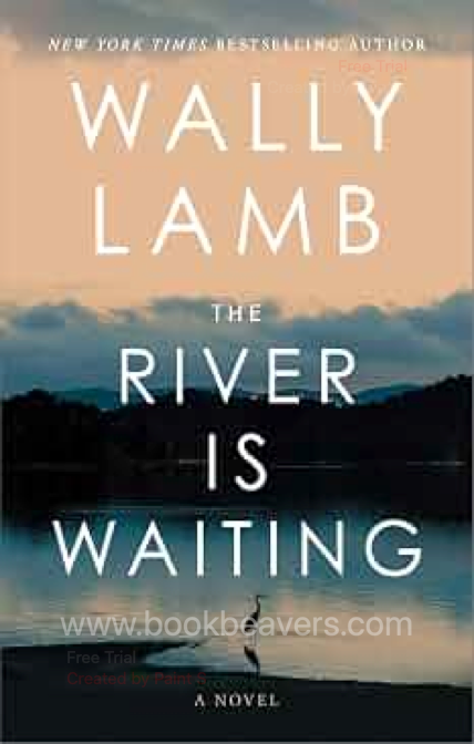 The River Is Waiting by Wally Lamb